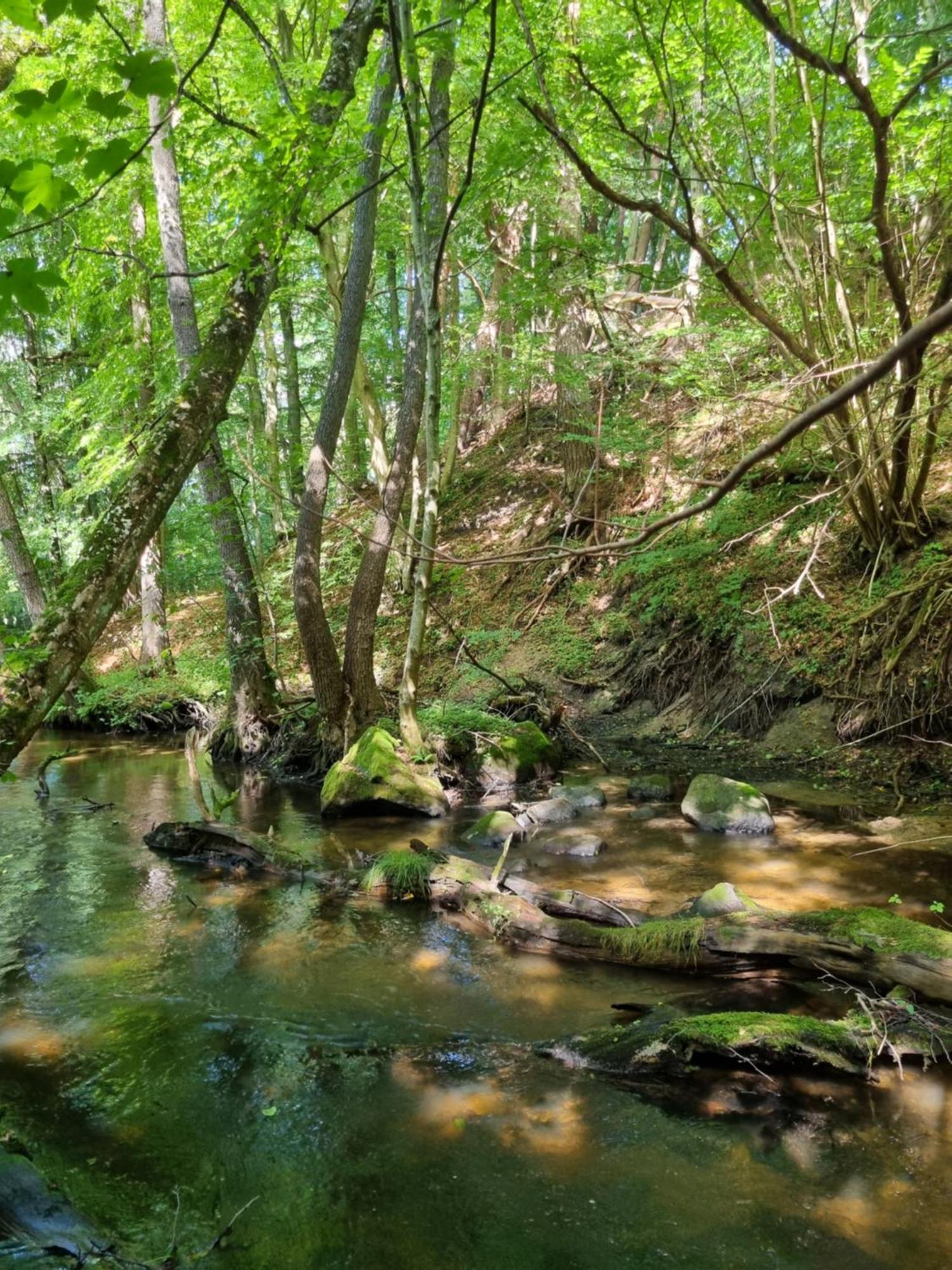 Lublewo Leborskie Domki Nad Morzem Lublewo21 Obok Bialogory מראה חיצוני תמונה